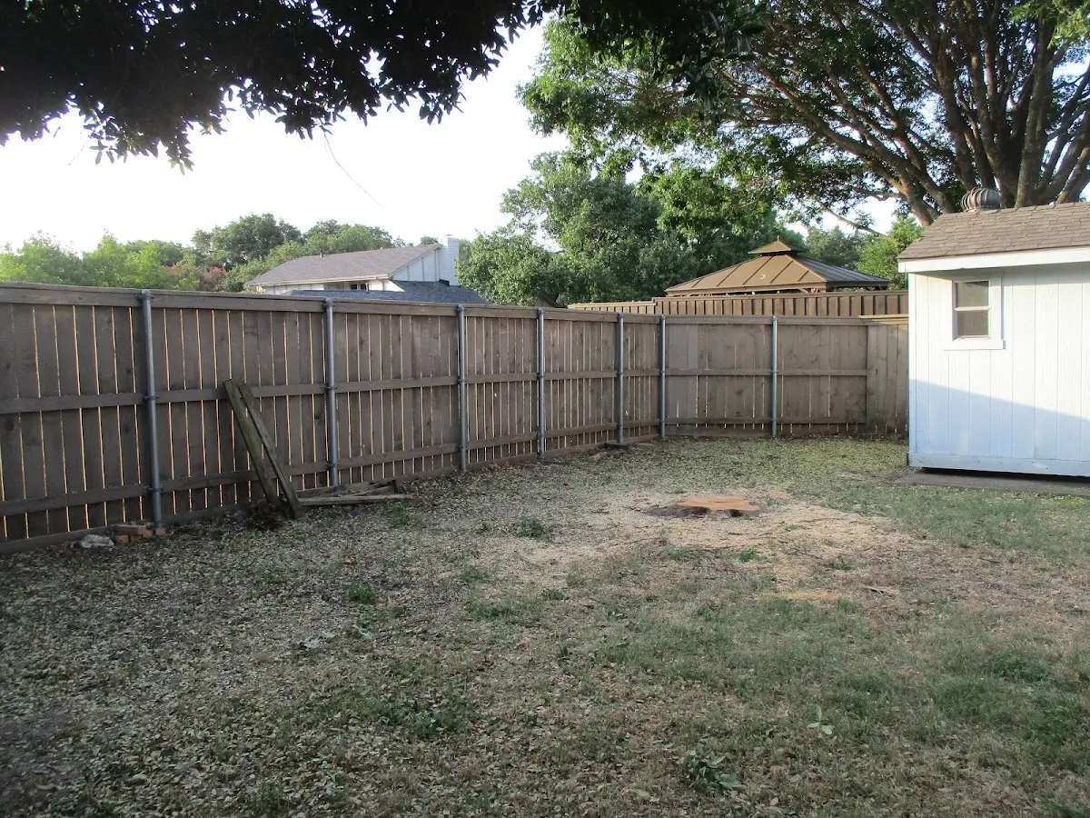 Cleared yard after professional tree removal in Mount Pleasant